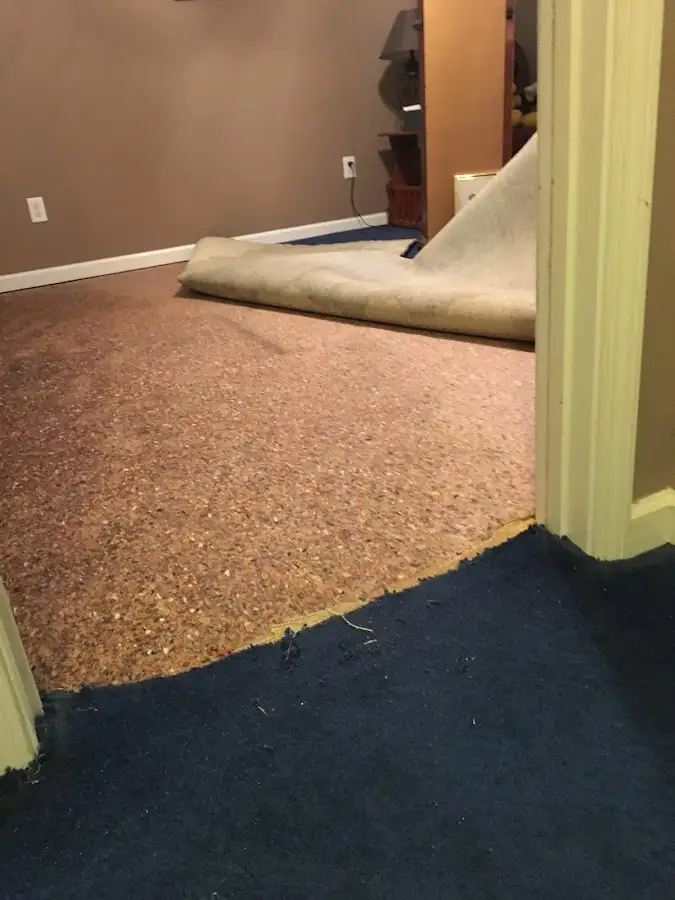 Carpet pad removal revealing water damage during Water Mitigation Services in Fairfax